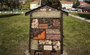 Oaza života u Kampusu UNSA: Postavljen hotel za kukce, najavljena i izgradnja parka