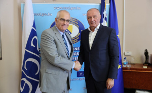 Zukan Helez i Rick Holtzapple: Jačanje saradnje BiH i OSCE-a za sigurnost i europske integracije