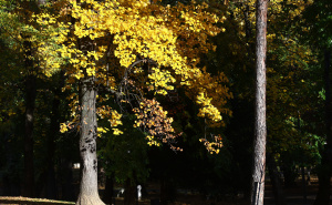Bugojno jutros hladnije od Bjelašnice: Pročitajte i kakvo nas vrijeme očekuje u narednim danima