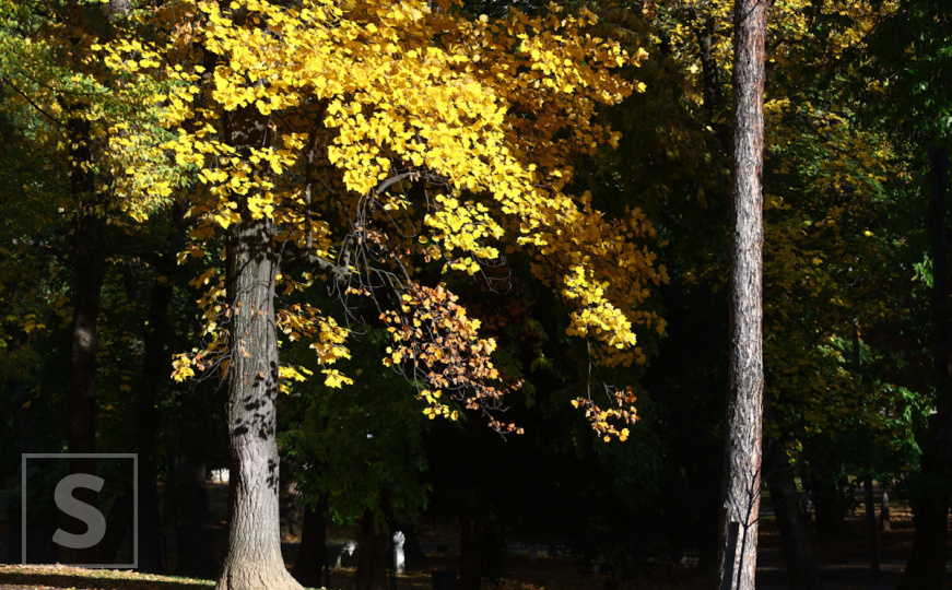 Bugojno jutros hladnije od Bjelašnice: Pročitajte i kakvo nas vrijeme očekuje u narednim danima