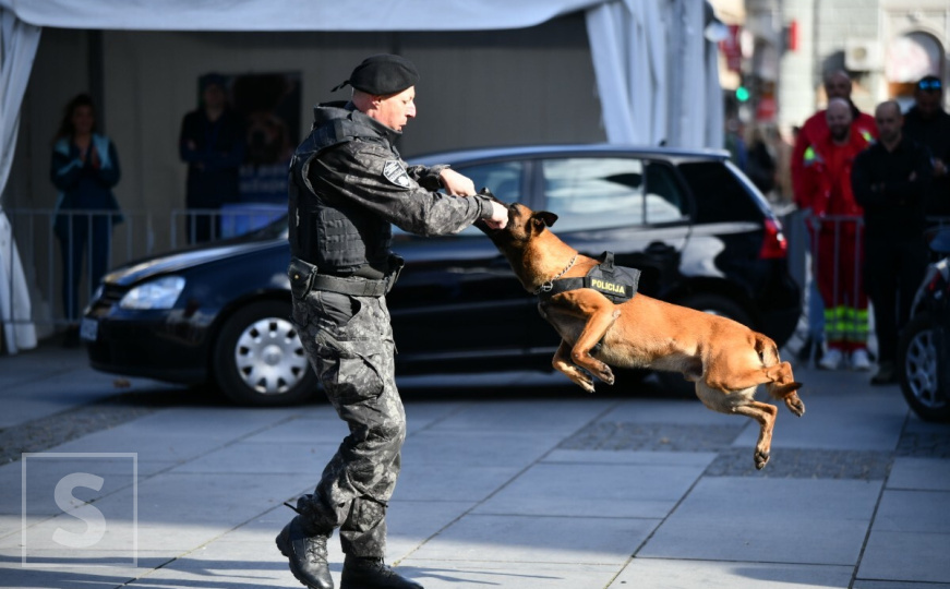 Održana pokazna vježba K9 jedinice: "Jedan pas može zamijeniti čitavu grupu ljudi u pretrazi"