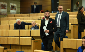 Sjednica Doma naroda FBiH se izmakla kontroli: Zahiragiću oduzeta riječ, ušao u polemiku s kolegicom