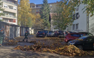 Jesenja akcija čišćenja: Ekipe KJKP RAD-a uklonile opalo lišće sa ulica u Sarajevu