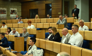 Parlament FBiH usvojio izmjene Zakona o roditeljima njegovateljima: Šta donosi novi nacrt?