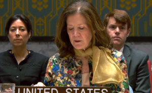 Vijeće sigurnosti UN-a | Američka ambasadorica pojasnila zašto su SAD ukinule sankcije Dodiku