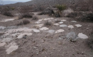 Jezivo: U pustinji kod Las Vegasa pronađene hrpe pepela. Uslijedilo je uznemirujuće otkriće