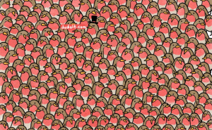 Pravo teška mozgalica: Za 20 sekundi, pronađite crvendaće sa srcem na grudima