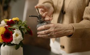 Postoji par važnih pravila: Kako zalijevati sobne biljke tokom jeseni?