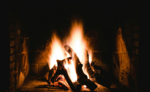 Ovo je najisplativije drvo za ogrjev: Sagorijeva sporo i zagrijava najviše