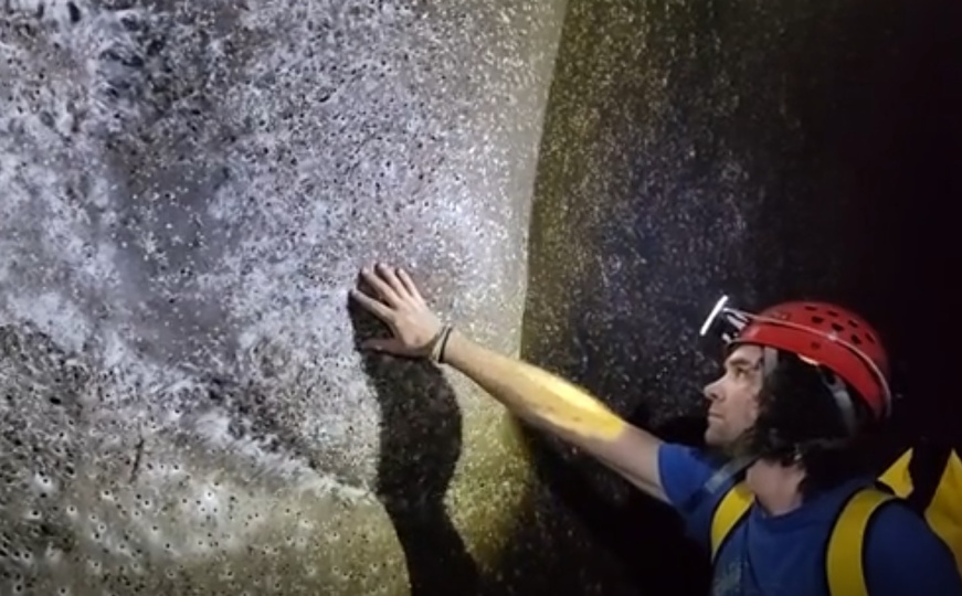 Naučnici: Mislimo da smo otkrili najveću paukovu mrežu na svijetu, skrivena je u pećini na Balkanu