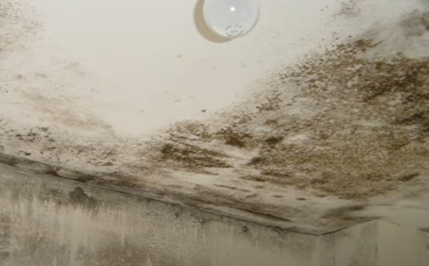 Zaboravite na hemikalije: Prirodna metoda da se riješite plijesni jednom zauvijek