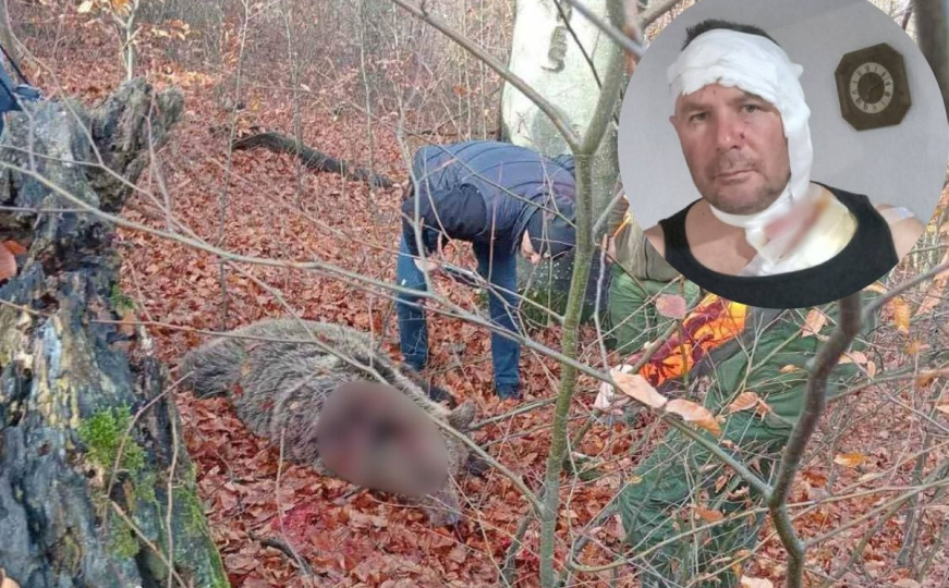 Bosanac preživio napad medvjeda: "Iznenada se bacio s visine na mene"