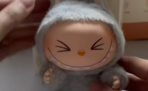 Pronađena opasna supstanca u Labubu lutkama: Zaplijenjeno više od 5.000 igrački