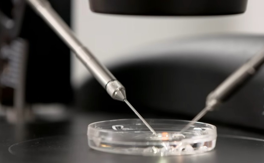 Ministarstvo zdravstva FBiH: Radimo na zaštiti embrija i pacijenata u zatvorenoj klinici u Sarajevu