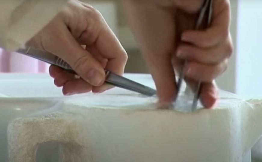 Klinika za vantjelesnu oplodnju u Sarajevu zatvorena: Pacijenti strahuju za svoj biološki materijal