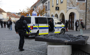 Vlada Slovenije pozvala građane da predaju ilegalno oružje bez posljedica