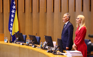 Ni nakon pauze nema kvoruma, sjednica prekinuta: "HDZ i SNSD svjesno blokiraju rad Doma naroda"