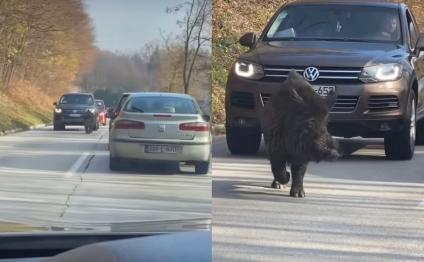 "Ozbiljan kapitalac": Pogledajte ko je uzrokovao zastoj na cesti prema Fojnici