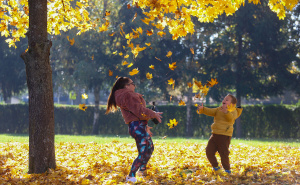 Zašto sunčani novembar nije dobar znak? Svi uživamo u lijepom vremenu, ali stara izreka kaže ovo