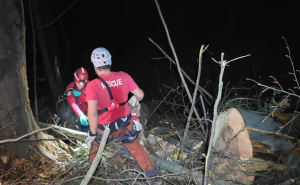 Tragedija u Žepču: Mladić poginuo tokom radova u šumi