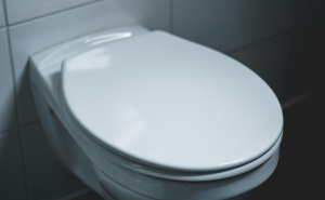 Zašto uvijek trebate držati poklopac WC školjke zatvoren: Iznenađujući razlozi stručnjaka