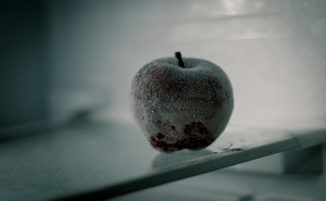 Slijedite ove jednostavne korake: Ovako ćete spriječiti nakupljanje leda u zamrzivaču i frižideru