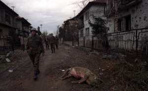 Boris Dežulović ušao je 1991. u okupirani Vukovar: Ti šuti i ne pričaj s nikim. Gledaj i povraćaj...