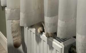 Zaboravite na skupe račune: Ovaj jednostavni, dekorativni trik štedi struju i dom čini toplijim