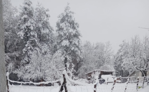 Snijeg zabijelio Krajinu: Pogledajte trenutno stanje u Bosanskoj Krupi