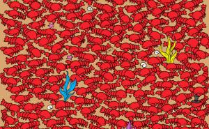 Mozgalica za one sa oštrim vidom: Pronađite četiri raka za manje od 15 sekundi