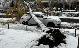 Opasnost na ulicama Sarajeva: Snijeg izazvao štetu. Srušilo se stablo, vozilo oštećeno