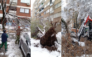 Park uputio apel Sarajlijama: Stabla padaju pod težinom snijega, pazite gdje se krećete i parkirate