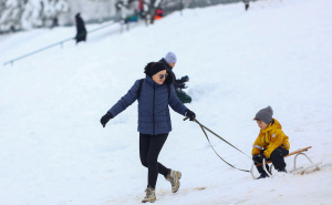 Koliko košta odgoj djeteta? Njemačka objavila cifru koja šokira roditelje, u prosjeku 322.075 KM