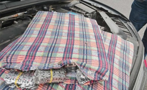 Državljanin BiH uhapšen na hrvatskoj granici: Sakrio 40.000 tableta