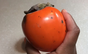 Ukusna i puna vitamina: Japanska jabuka je zdrava, ali pazite na ove dvije stvari