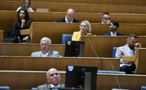 Predstavnički dom PSBiH usvojio nekoliko "evropskih zakona"