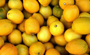 Čuvar imuniteta: 7 zdravstvenih prednosti limunske vode koje potvrđuju nutricionisti