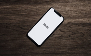 Slučaj White tiger uznemirio svijet: Otkriveno najmanje 6 žrtava, jezivo je na šta nagovaraju mlade