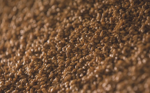 Mijenja pravila igre za zdravu kožu: Žitarica koju smo zaboravili, a puna je kolagena