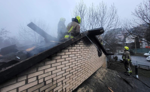 Požar u Pionirskoj dolini: Vatrogasci uspješno ugasili vatru i spasili životinje