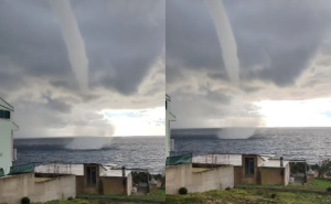 Fascinantan prizor: Snimljena pijavica kod Korčule