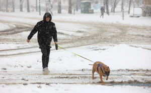Severe Weather | Objavljena prognoza za iduća tri mjeseca: Poznato kakva nas zima čeka u BiH