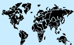 Test ličnosti: Životinja koju prvo uočite otkriva šta je vaš okidač ljutnje