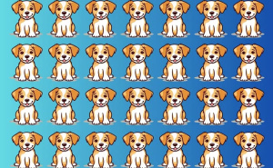 Izazov za vaše oči: Da li možete za 15 sekundi pronaći psića koji se razlikuje od drugih?