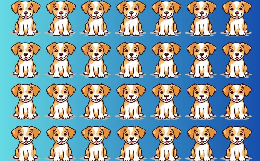 Izazov za vaše oči: Da li možete za 15 sekundi pronaći psića koji se razlikuje od drugih?