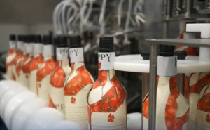 Biste li vi probali vino iz kartonske boce? Vinarija smislila kako da zaštiti okoliš