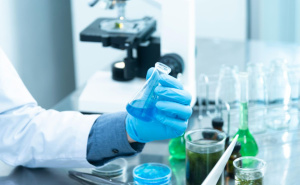 Otvorena istraga u Španiji: Virus svinjske kuge procurio iz laboratorije?