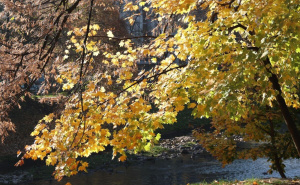 Objavljena prognoza za BiH do 22. decembra: Kad nam stižu sljedeće padavine?