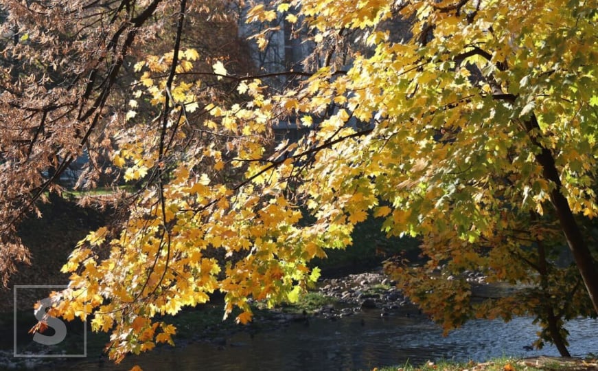 Objavljena prognoza za BiH do 22. decembra: Kad nam stižu sljedeće padavine?