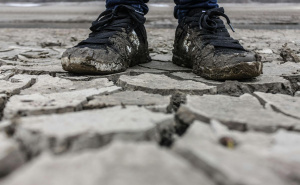 Odstranite blato sa svojih patika: Šest koraka za efikasno čišćenje obuće